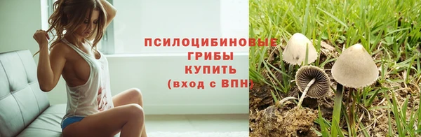 ALPHA PVP Медвежьегорск